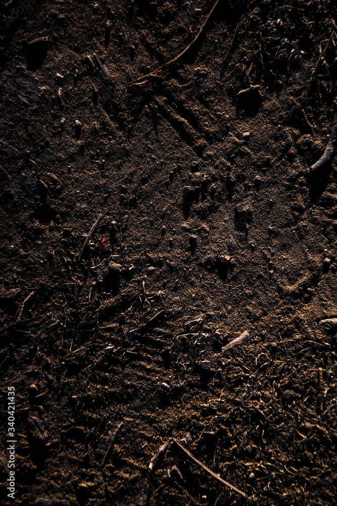 Texture Texture