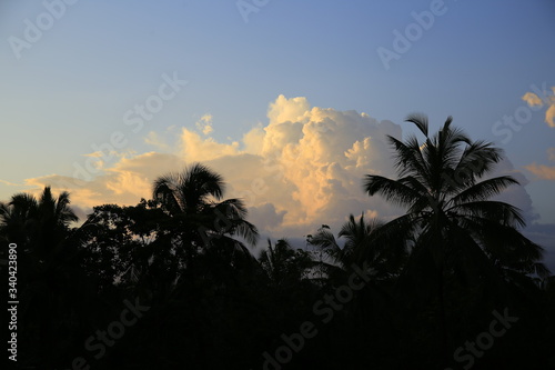 Wallpaper Mural beautiful landscape in the evening. Torontodigital.ca