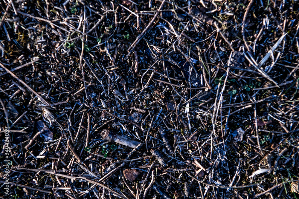Texture Texture