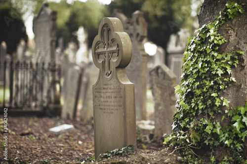 Photography GLASNEVIN CEMETERY, Old graveyard with Celtic cross gravestones , Celtic cross D