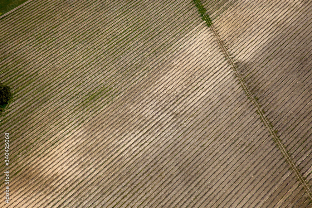 Fototapeta premium Lines from the sky