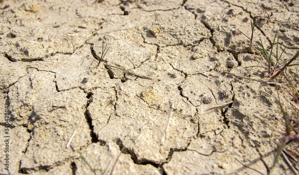 Сracked earth texture. Climate change, drought, protection of nature and the environment. Сracked earth texture. Climate change, drought, protection of nature and the environment.