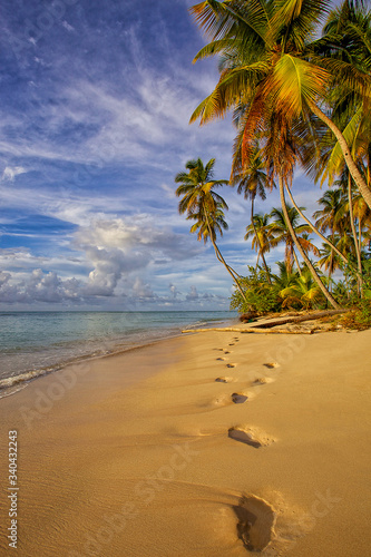 tropical paradise beach with white sand and coco palms travel tourism wide panorama background Luxury travel summer holiday background concept.