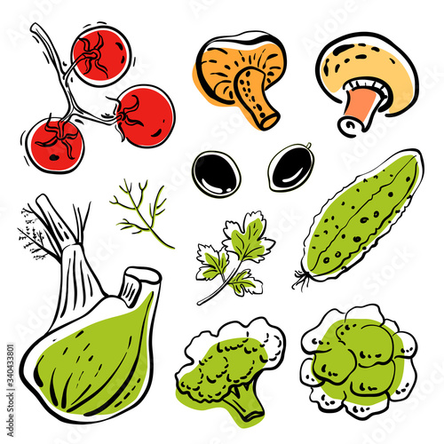 Fennel, mushrooms, tomatoes, cucumber, broccoli. Colorful sketch collection of healthy vegetables and herbs isolated on white background. Doodle hand drawn vegetable icons. Vector illustration