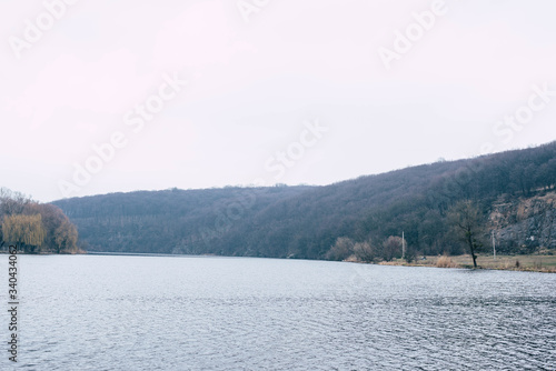 Large forests near wide river