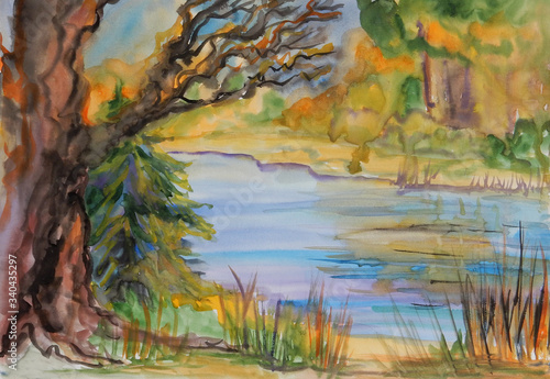 Fototapeta Naklejka Na Ścianę i Meble -  watercolor drawing autumn landscape in yellow tones an old tree by the blue river
