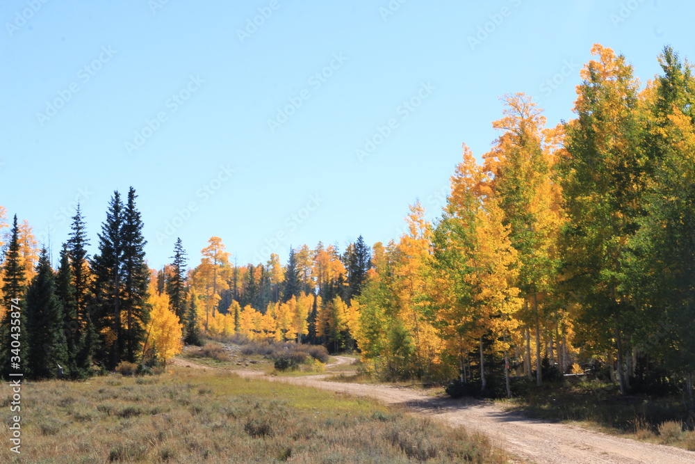 Fototapeta premium Beautiful autumn in Utah