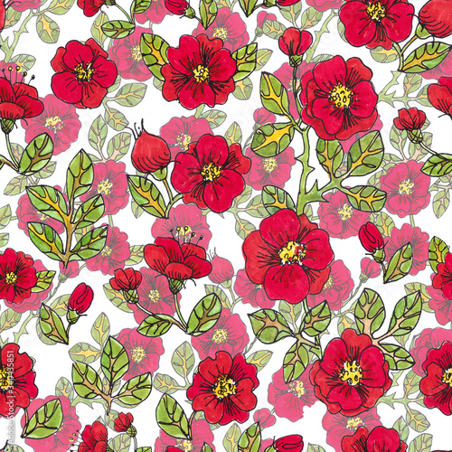 Fototapeta Naklejka Na Ścianę i Meble -  Seamless pattern of red colors burgundy rosehip flowers with leaves