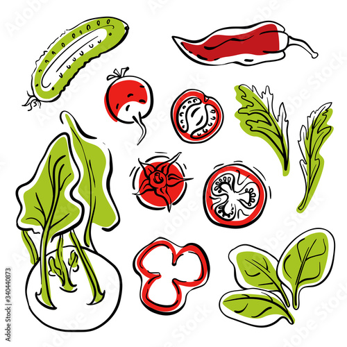 Cucumber, kohlrabi, tomatoes, spinach, radish, pepper. Colorful sketch collection of healthy vegetables and herbs isolated on white background. Doodle hand drawn vegetable icons. Vector illustration