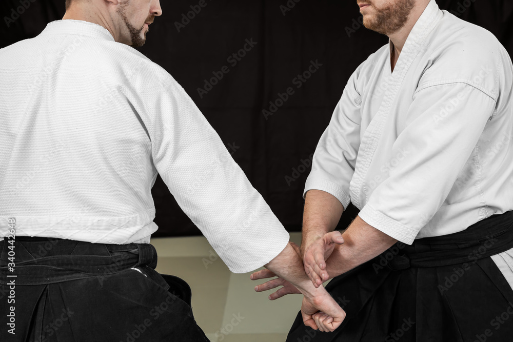 Aikido Techniques