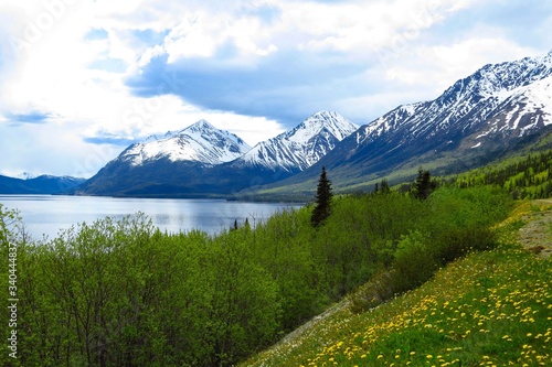 Alaskan Mountains 