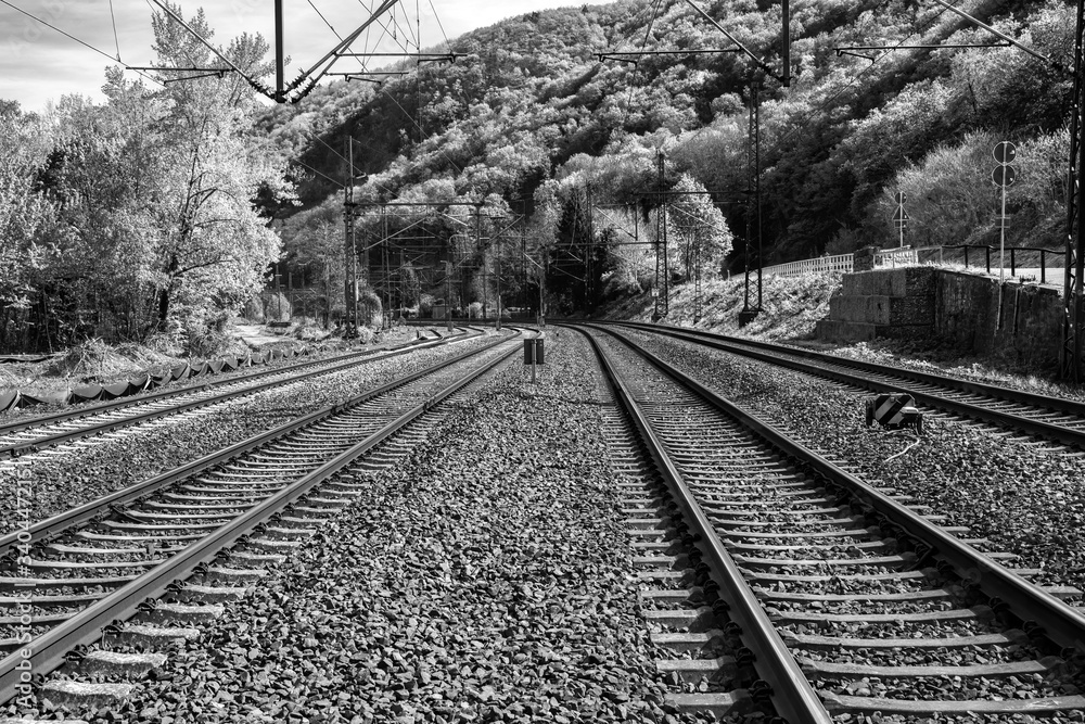 A rail way track on a rural area with trees an bushes on both sides