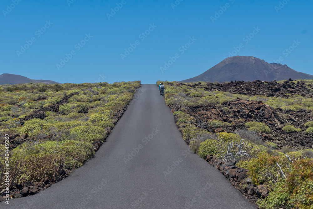 Spain, Lanzarote, Bolt upright tarmac highway alongside lava and vegetation of arid island