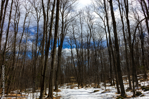 Chelsea snowy trails in April Gatineau park Quebec Canada