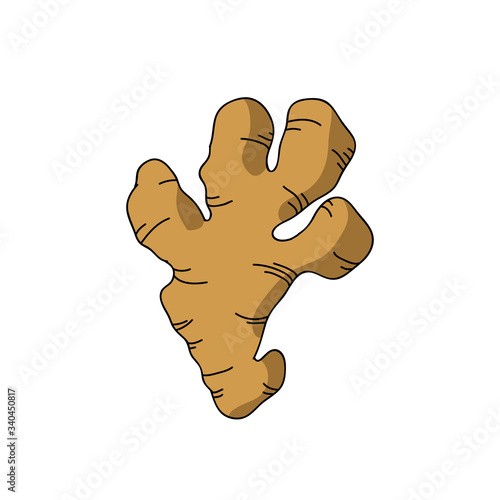 ginger root doodle icon