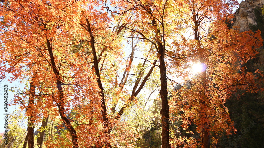 Autumn in Utah Autumn in Utah