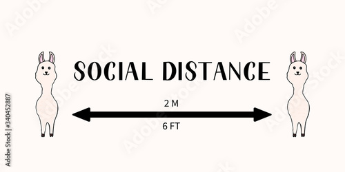 Social distancing typography poster with cute cartoon llamas or alpacas. Coronavirus COVID-19 pandemic quarantine banner. Vector illustration.