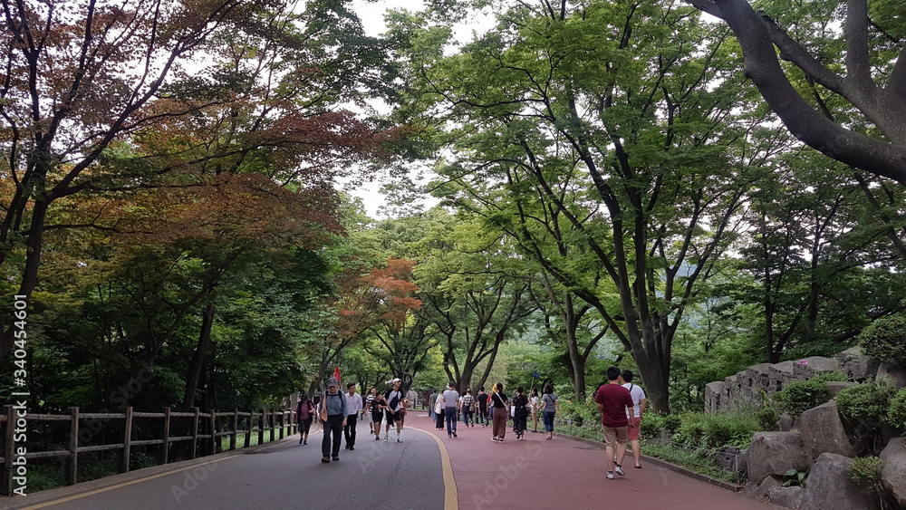 road, park, tree, trees, nature, green, path, street, landscape, way, grass, spring, forest, sky, country, leaves, autumn, summer, rural, footpath, avenue, asphalt, people, walk, alley road, park, tree, trees, nature, green, path, street, landscape, way, grass, spring, forest, sky, country, leaves, autumn, summer, rural, footpath, avenue, asphalt, people, walk, alley