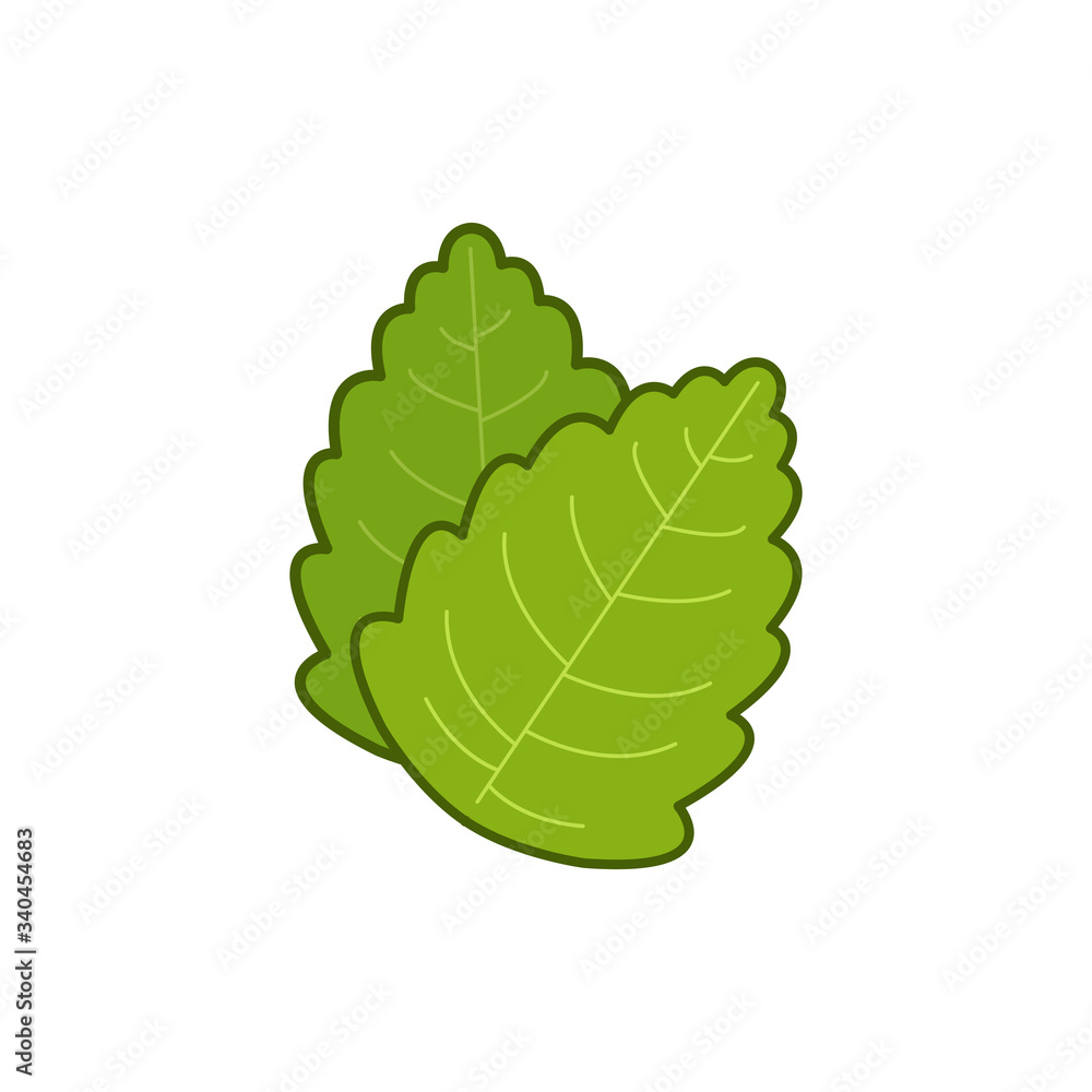 stevia vector icon