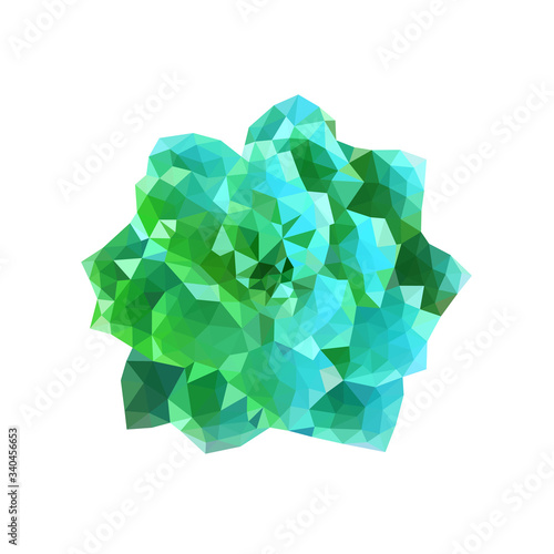 polygonal succulent illustration