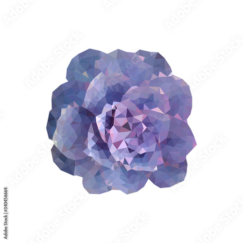 polygonal succulent illustration