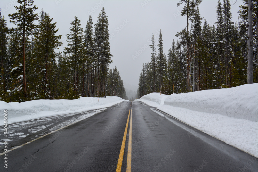 Road in the snow and forest Road in the snow and forest