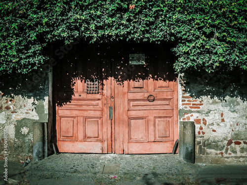 old wooden door in a brick wall with vines