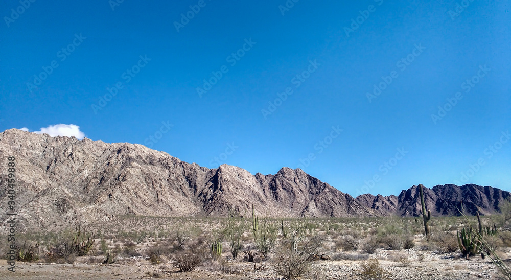 Desert mountain landscape with cactus in a sunny day