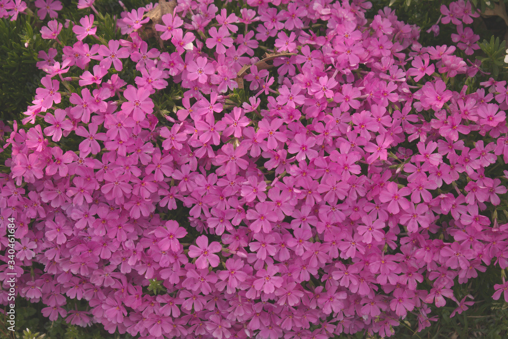 Developed using darktable 2.6.0 Developed using darktable 2.6.0
