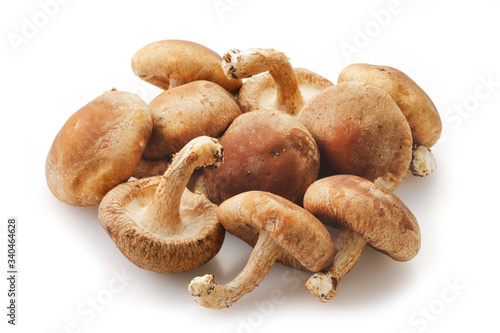 しいたけ　Shiitake mushrooms photo