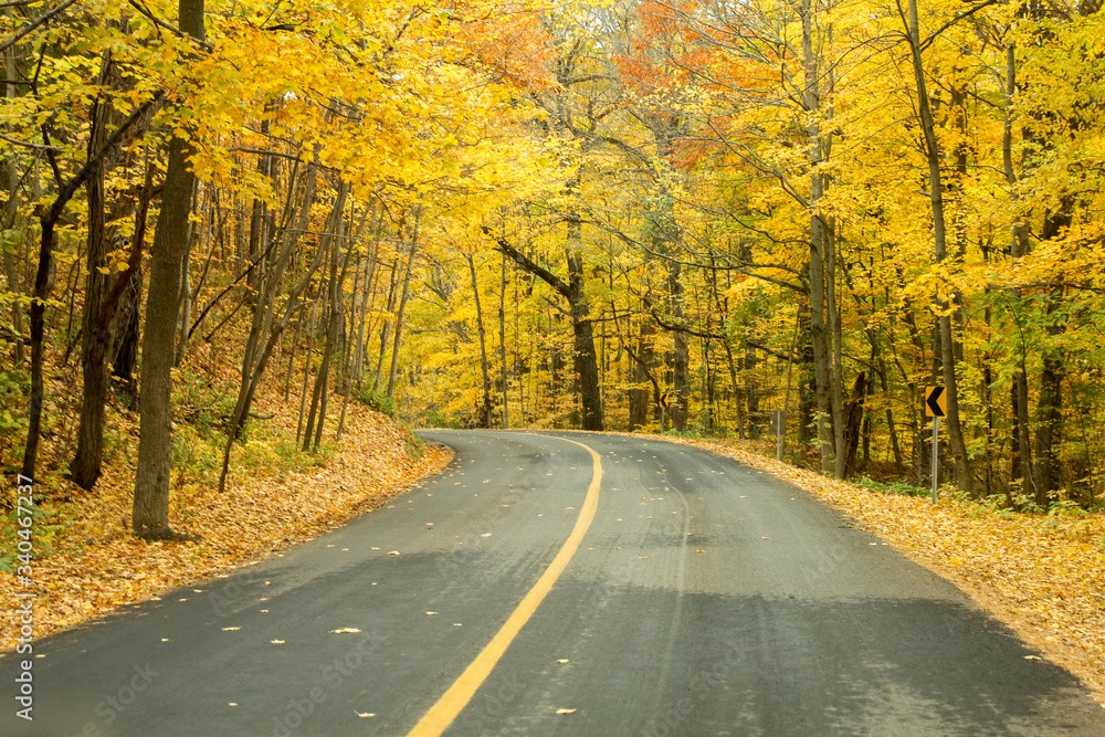 A country road curving into a yellow autumn forest.