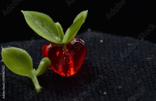 Green leaves are sprouting from a red heart shaped bead depicting that everything grows with love photo