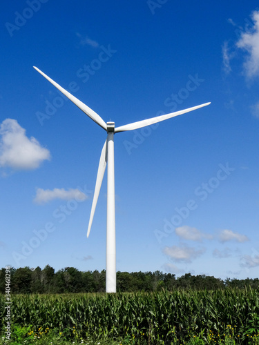 A wind turbine in a corn field on a blue sky day.