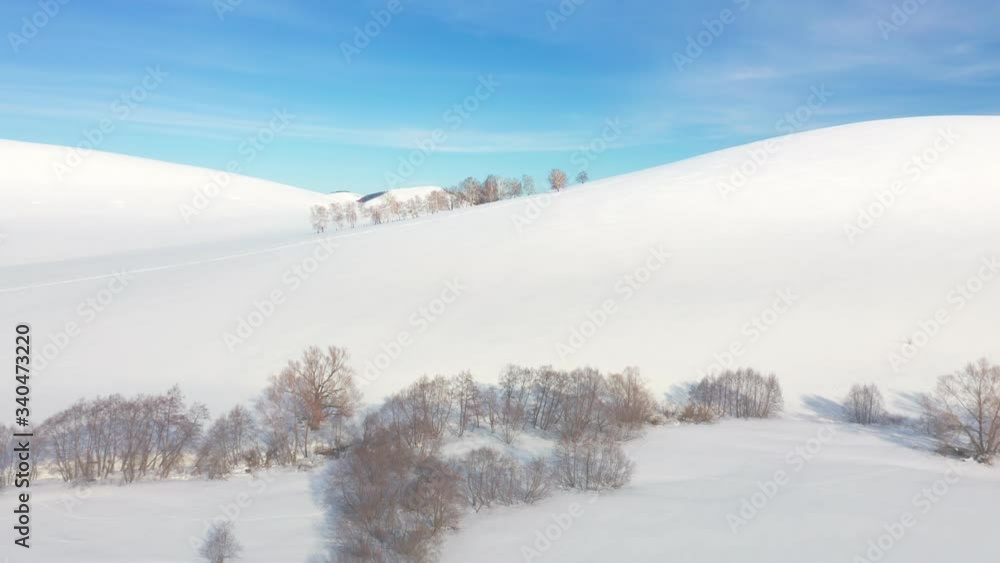 Snowy mounds landscape on a winter sunny day with a deep ravine and rare trees in it. Aerial drone shot Snowy mounds landscape on a winter sunny day with a deep ravine and rare trees in it. Aerial drone shot