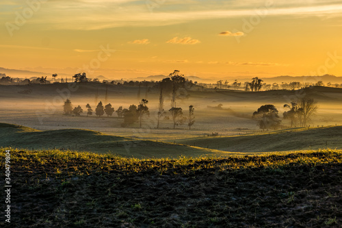 A beautiful golden sunrise over farmland in the Waikato, New Zealand. 