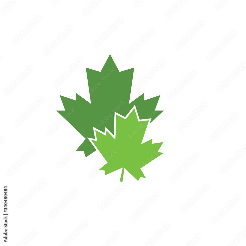 maple leave vector illustration maple leave vector illustration