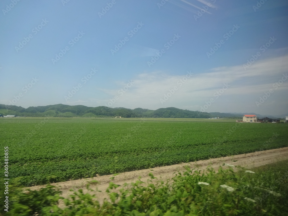 The view of Hokkaido, Japan