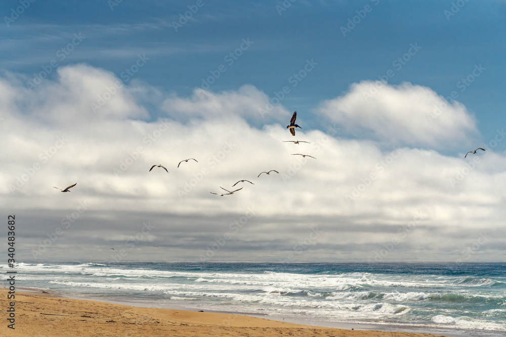Flock of pelicans flying over the sea. Stormy Pacific Ocean, and beautiful cloudy sky on background