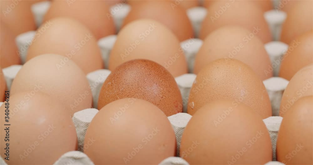 Eggs Extruder Full of Fresh Eggs on Black Background Eggs Extruder Full of Fresh Eggs on Black Background