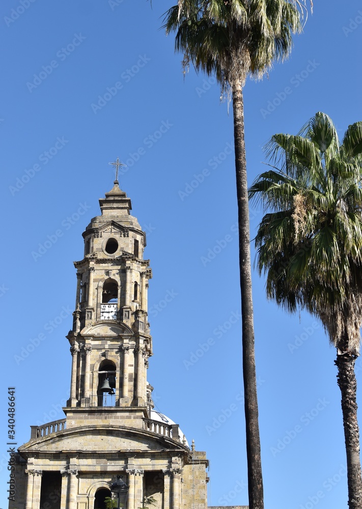 The church of San Jose de Gracia in Guadalajara, with a pair of nearby palm trees.
