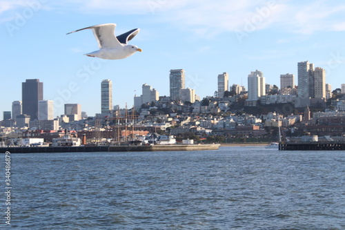 El horizonte y la libertad en el vuelo