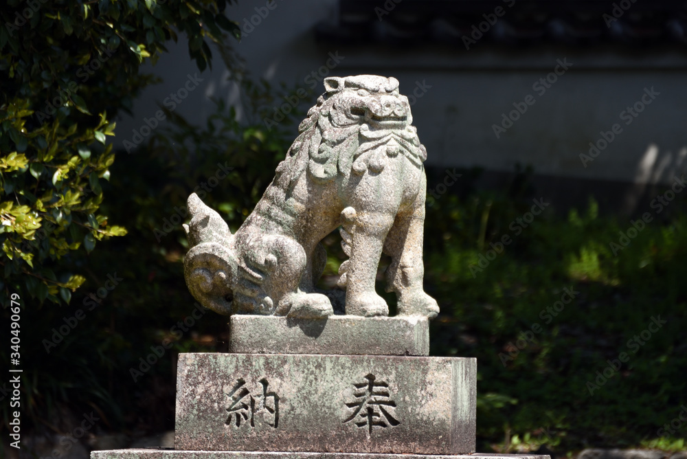 狛犬 狛犬
