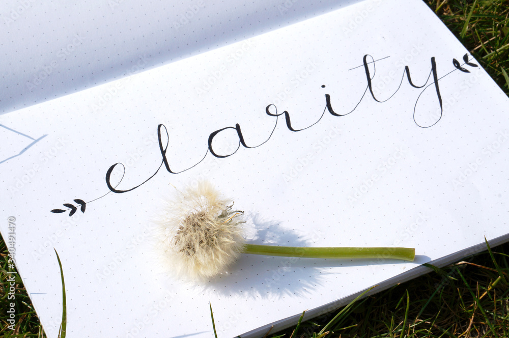 Naklejka premium Clarity Calligraphy flower