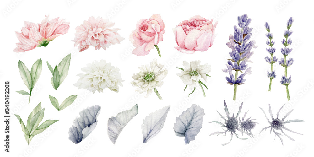 Flowers watercolor painting on white background. Isolated Clipart, Floral Wedding Invitation.