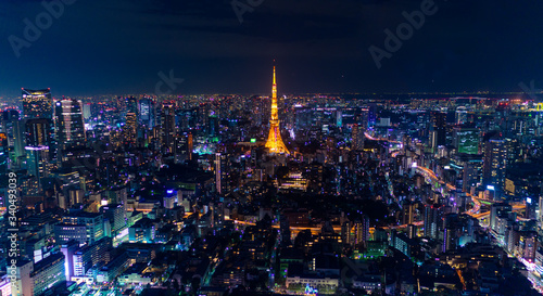 Canvas Print Tokyo Tower