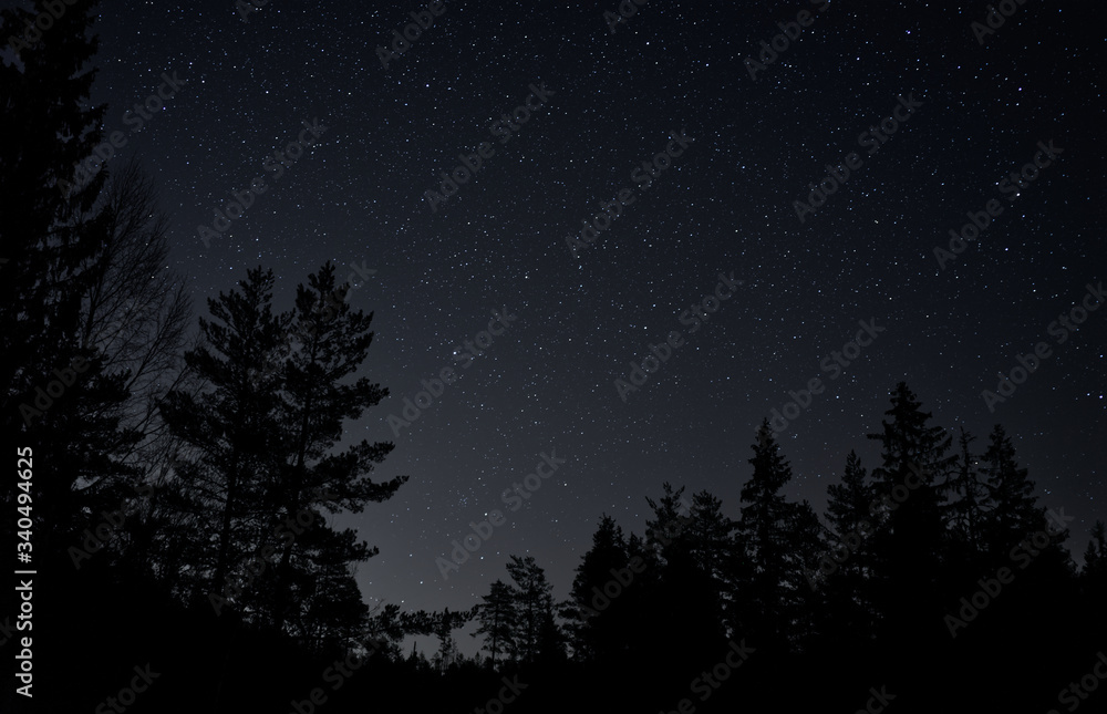 Night sky with visible stars in a remote location where you can see tree tops 