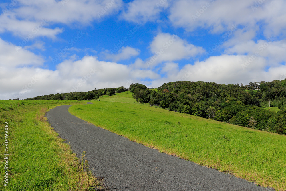 country road in the countryside