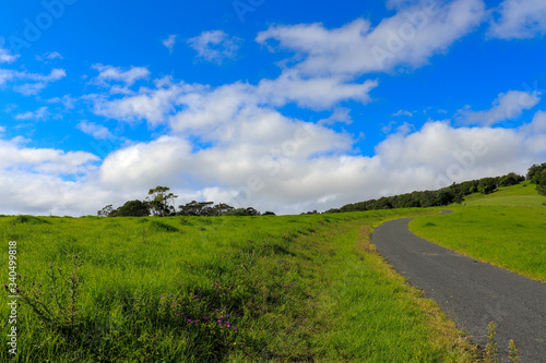 road in the field