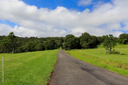 road in the countryside, Kiama, NSW Australia