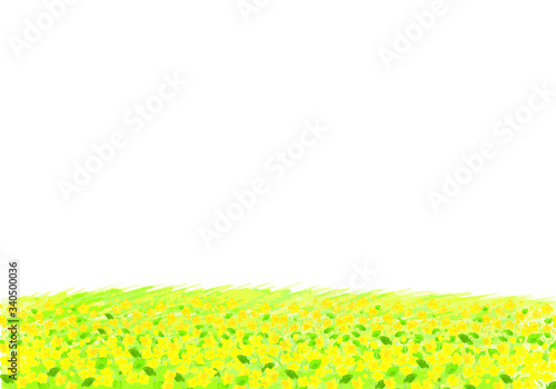 水彩画の菜の花畑
